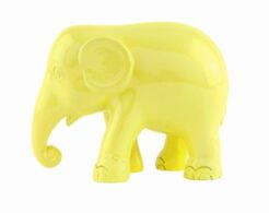 Simply Yellow 5 cm