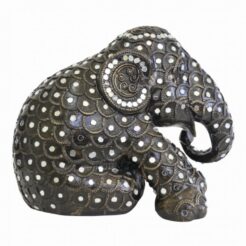 Rachinee 10cm