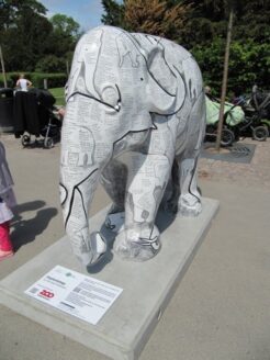 Elephantology