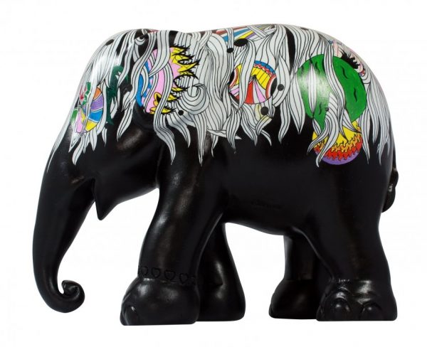 Indigenous 30 cm