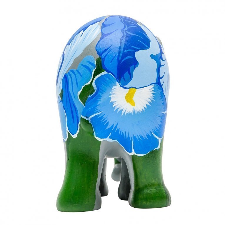 Iris – afbeelding 4 van 4