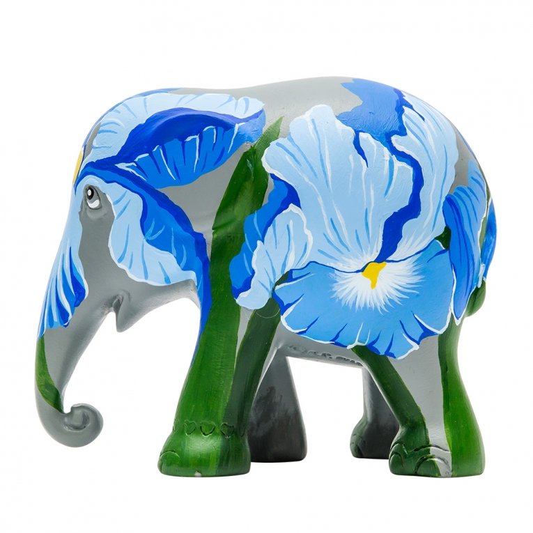 Iris – afbeelding 2 van 4