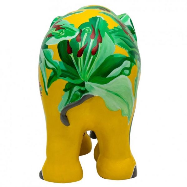 Lily Pepper 30 cm