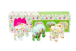 Multipack Tulipa