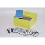 Elephantparade memory game Kunst en Kadootjes