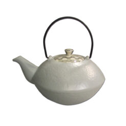 Japanse theepot 