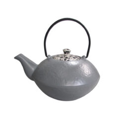Japanse theepot 
