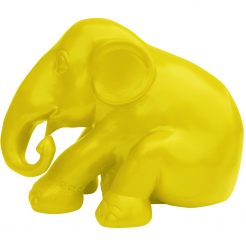 Simply Yellow Kunst en Kadootjes
