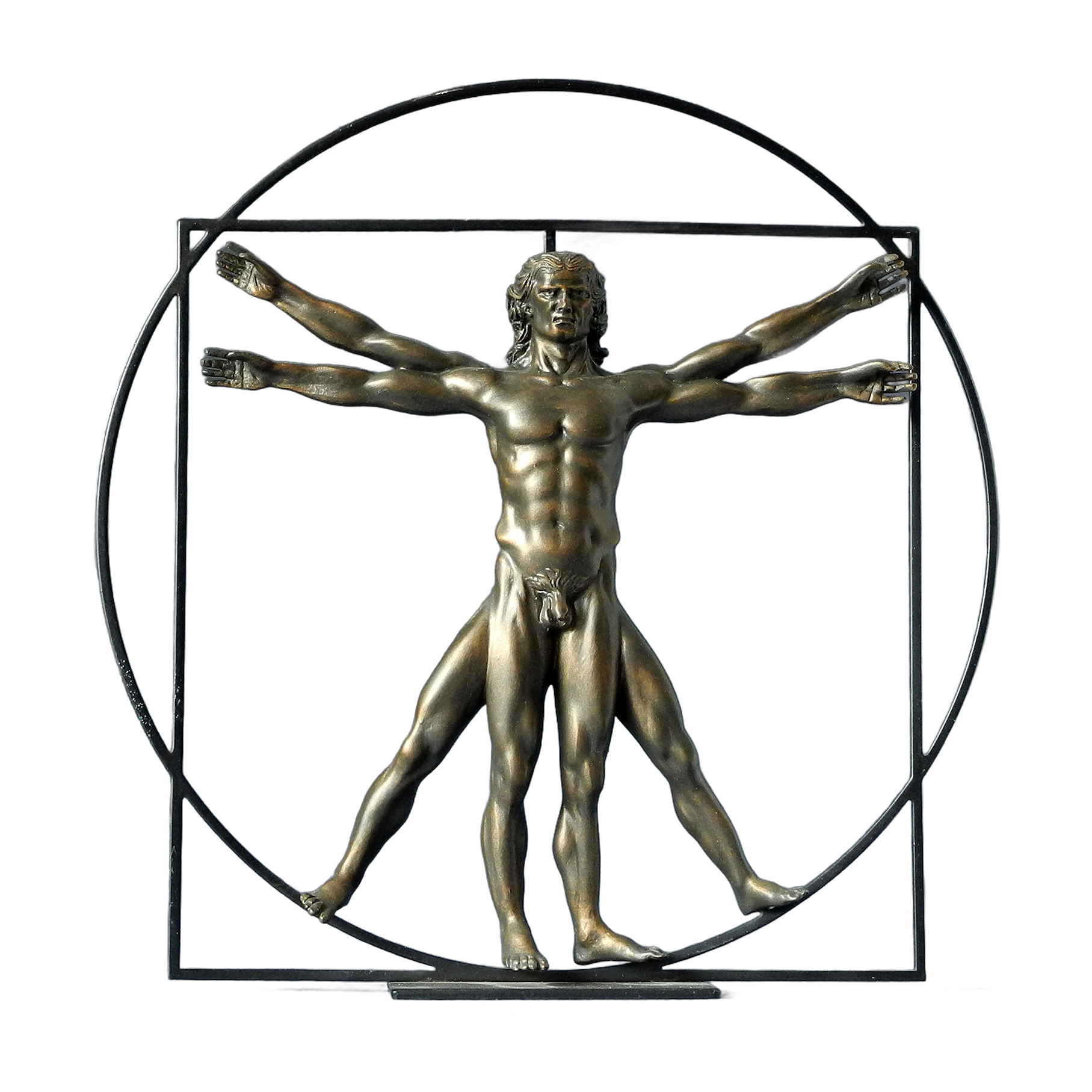 Da Vinci “De Man van Vitruvius” Large
