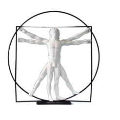 Da Vinci “De Man van Vitruvius” Large (wit)