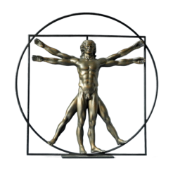 Da Vinci “De Man van Vitruvius”