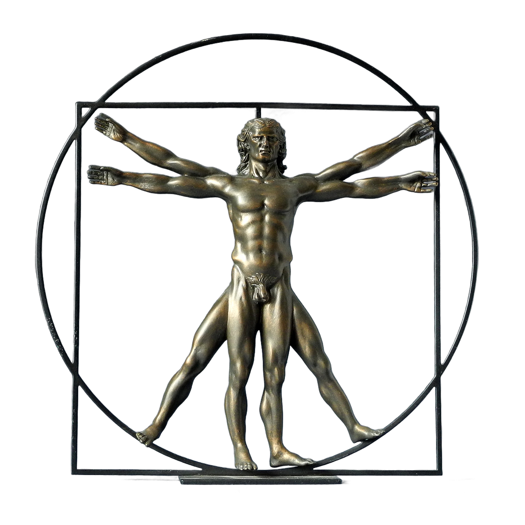 Da Vinci “De Man van Vitruvius”