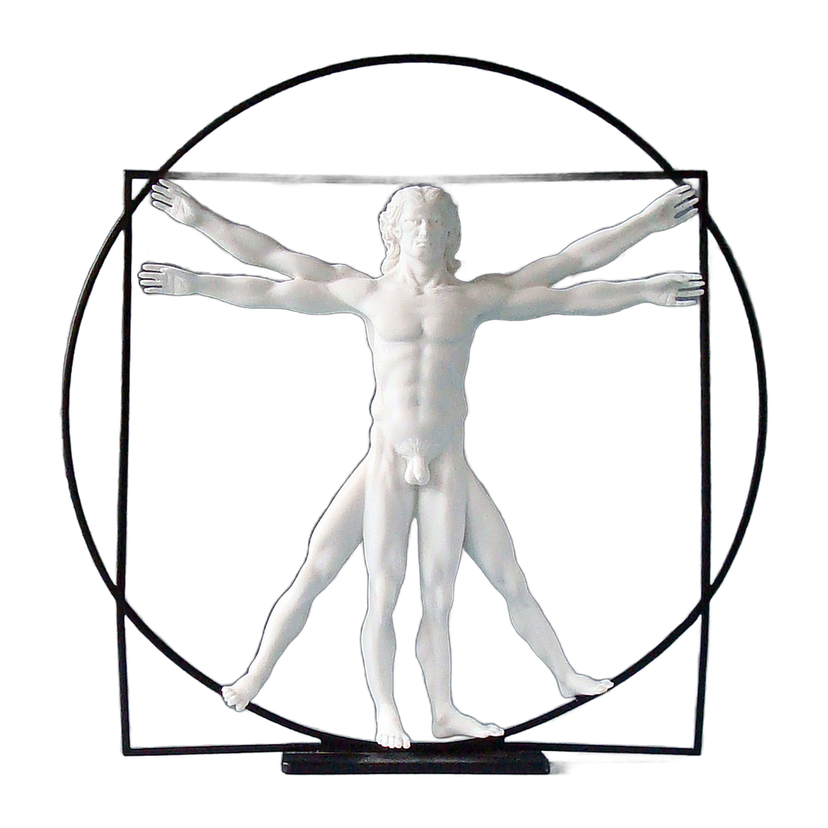 Da Vinci “De Man van Vitruvius”(wit)