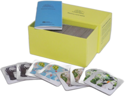 Elephant Parade Memory Game