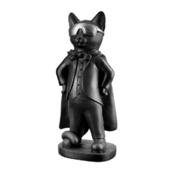 Hero Cat (armen in de zij)