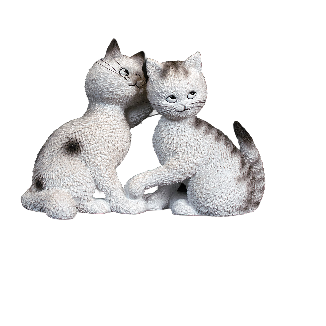 Les Confidences: Twee speelse witte katjes