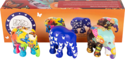 Multipack – Beautiful Butterflies