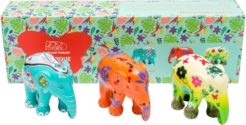 Multipack Exotique