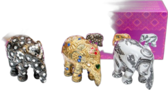 Multipack Sukothai