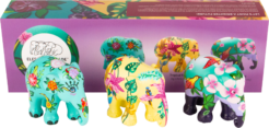 Multipack – Tropic Time