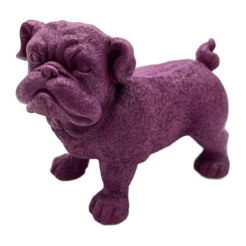Paarse Hond