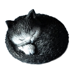 Siësta