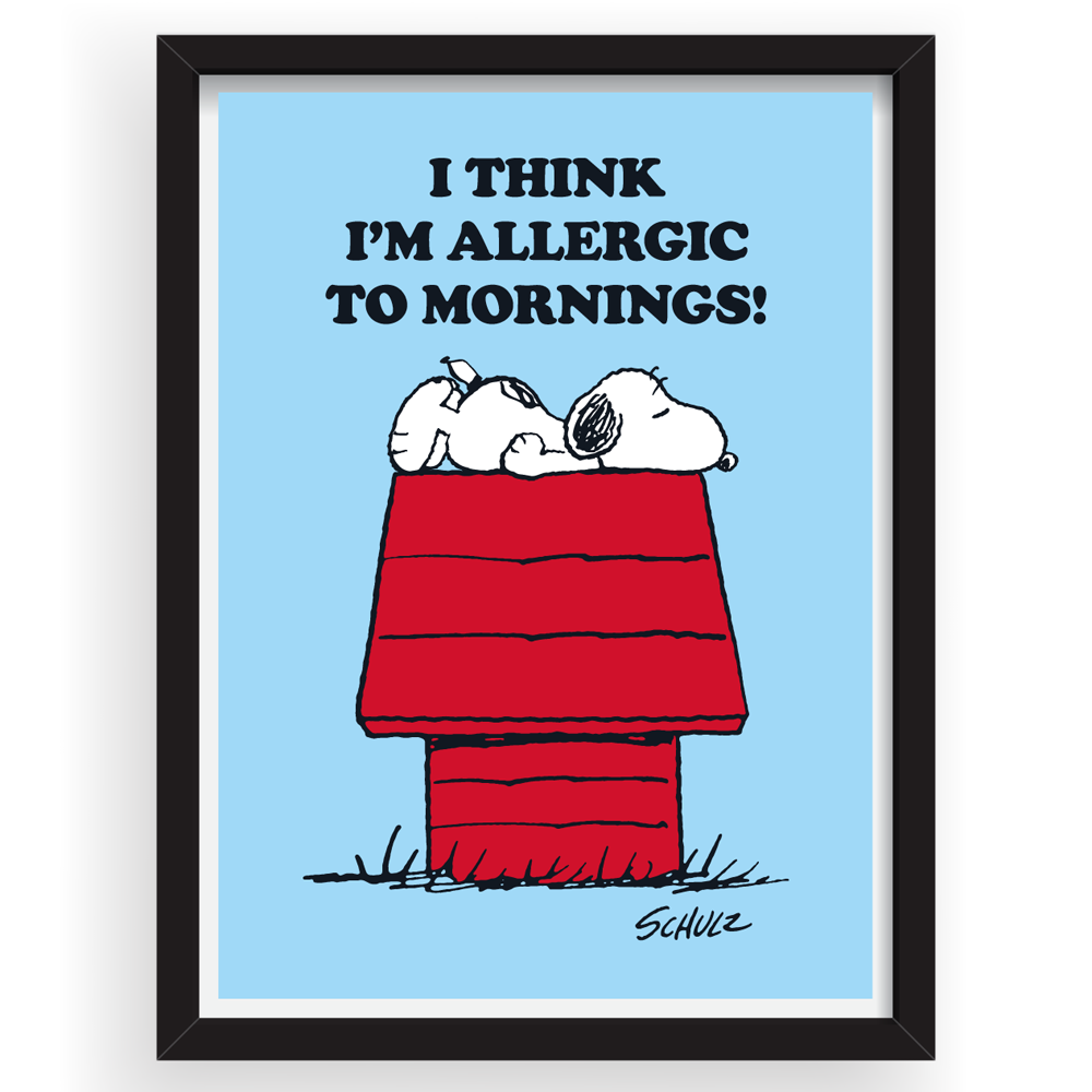 Snoopy slaapt op het dak van zijn rode hondenhok onder de tekst I think I'm allergic to mornings, ingelijste Peanuts print in zwarte lijst