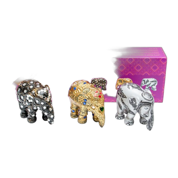 Multipack Sukothai